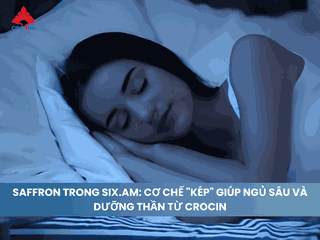Saffron trong SIX.am: Cơ chế "kép" giúp Ngủ sâu và Dưỡng thần từ Crocin